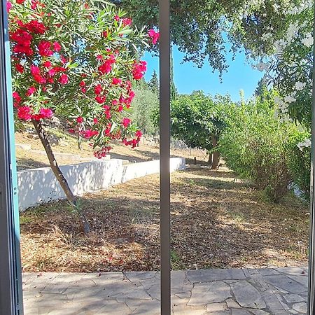 Domaine De La Navicelle Villa Le Pradet Bagian luar foto