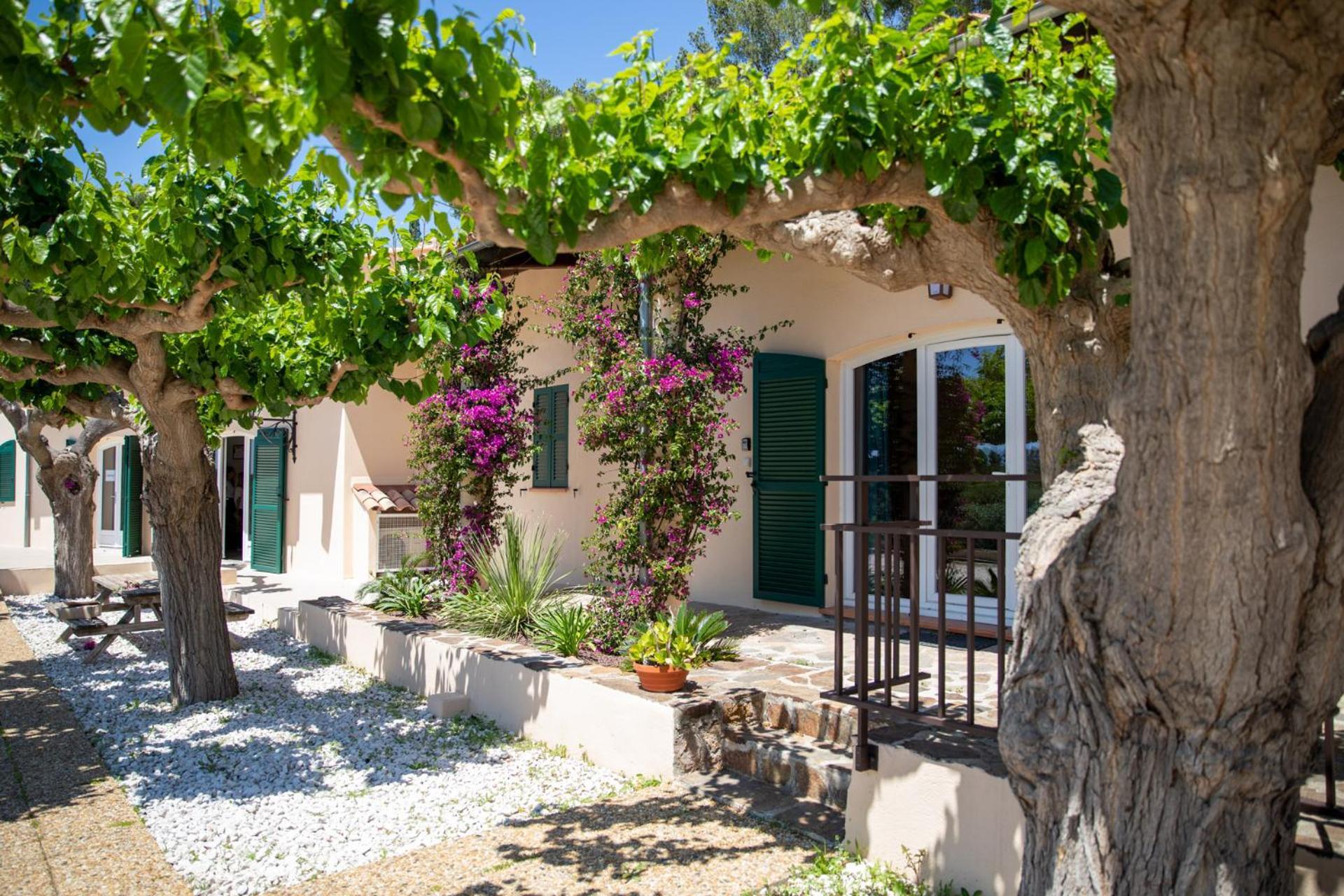 Domaine De La Navicelle Villa Le Pradet Bagian luar foto