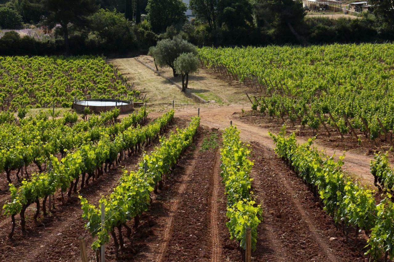Domaine De La Navicelle Villa Le Pradet Bagian luar foto