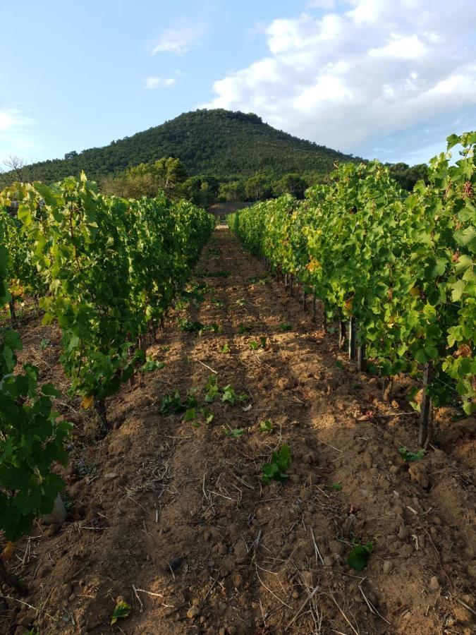 Domaine De La Navicelle Villa Le Pradet Bagian luar foto