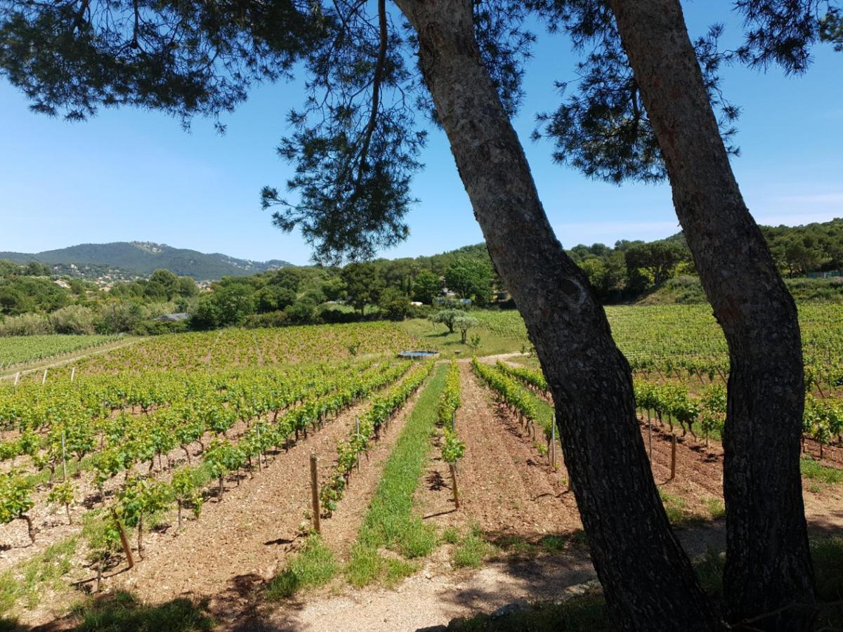 Domaine De La Navicelle Villa Le Pradet Bagian luar foto
